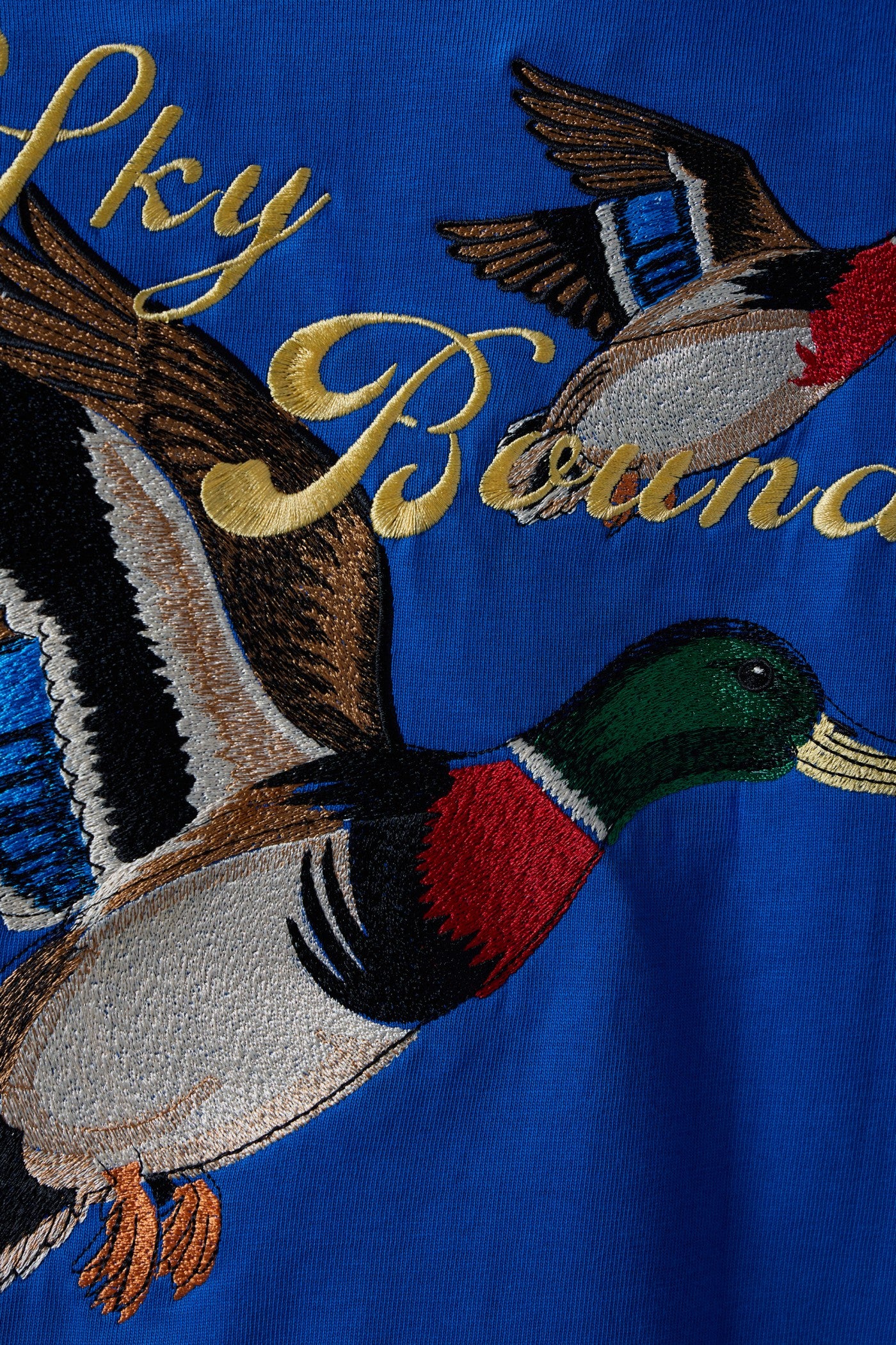 SKY BOUND EMBROIDERED LONG-SLEEVE T-SHIRT